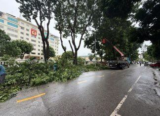 CÔNG TY MÔI TRƯỜNG RA QUÂN CAO ĐIỂM PHỤC VỤ KỶ NIỆM QUỐC KHÁNH 02/9